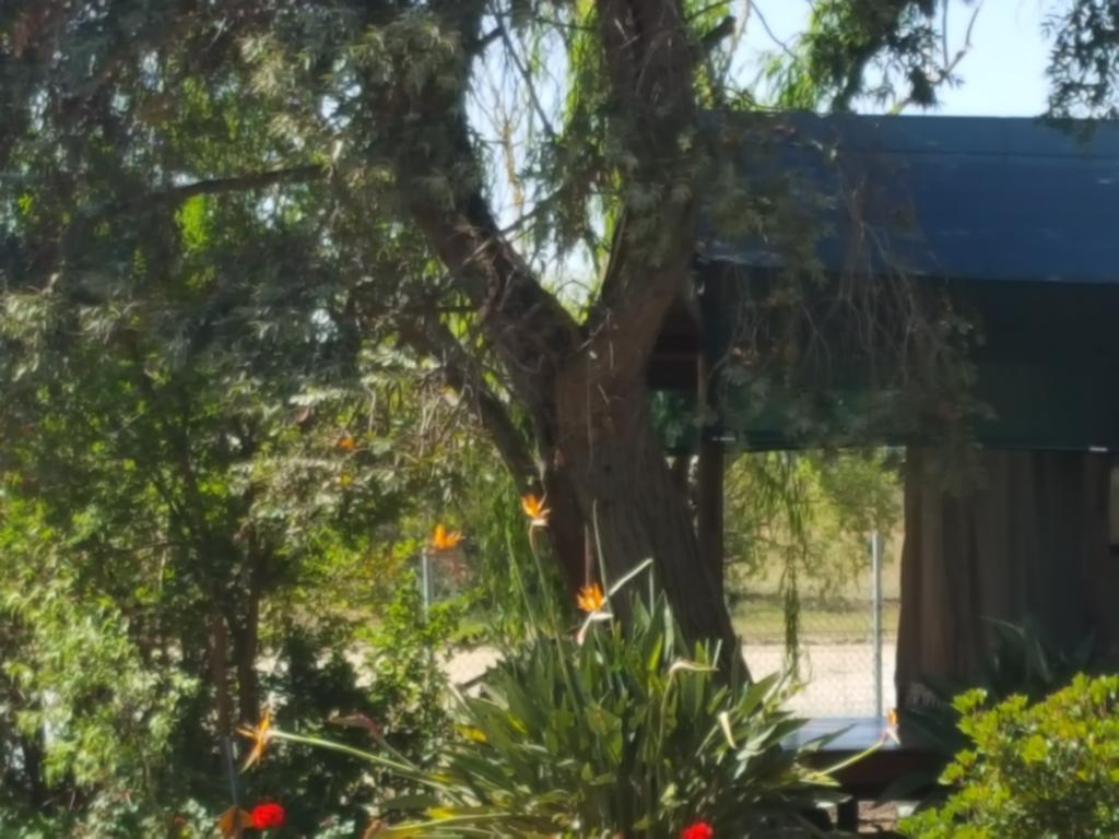 Hoopenburg Guesthouse Klapmuts エクステリア 写真