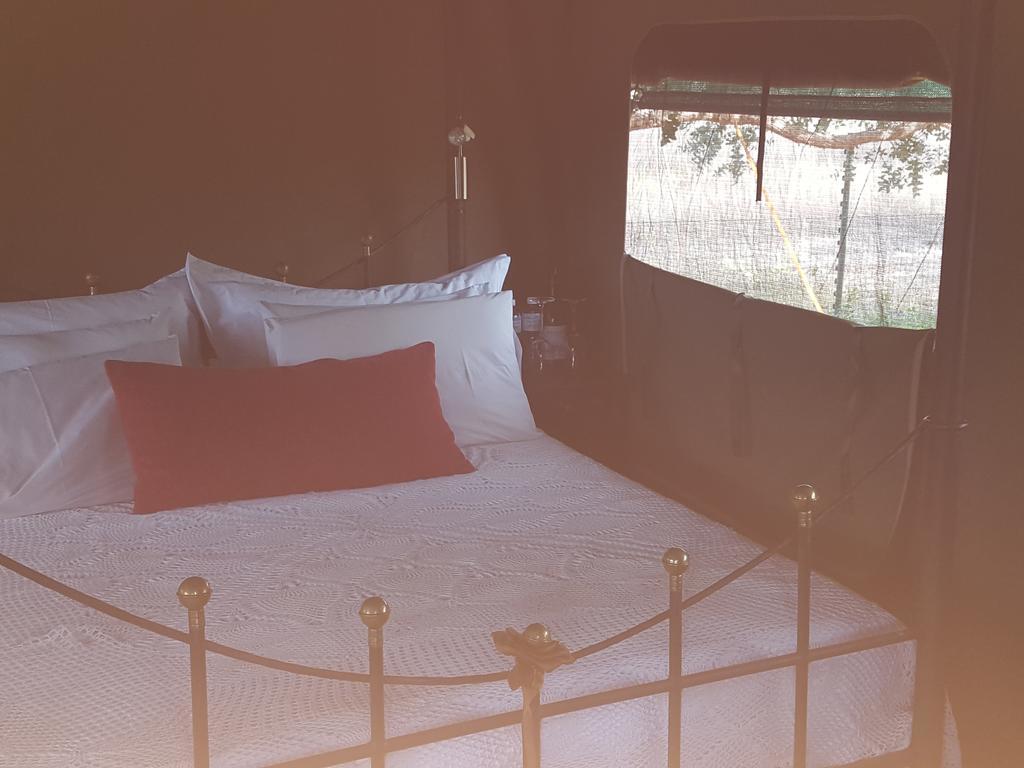 Hoopenburg Guesthouse Klapmuts エクステリア 写真